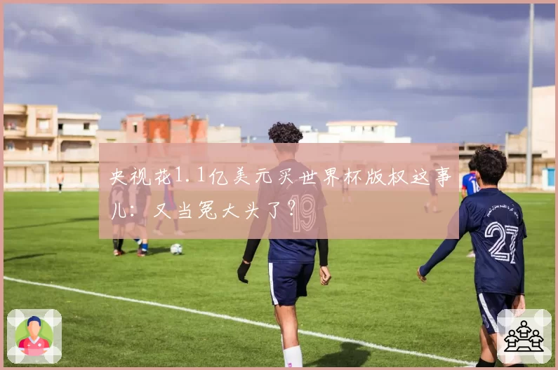 央视花1.1亿美元买世界杯版权这事儿:又当冤大头了?