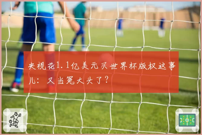 央视花1.1亿美元买世界杯版权这事儿:又当冤大头了?