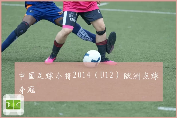 中国足球小将2014（U12）欧洲点球夺冠